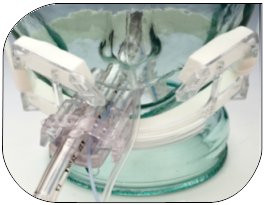 Endotracheal Tube Holder
