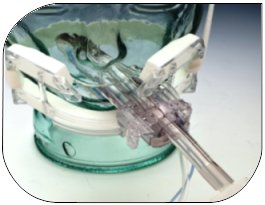 Endotracheal Tube Holder